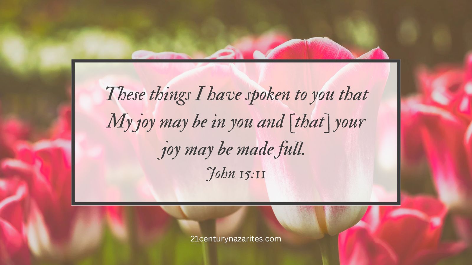 These things I have spoken to you that My joy may be in you and [that] your joy may be made full. John 15:11