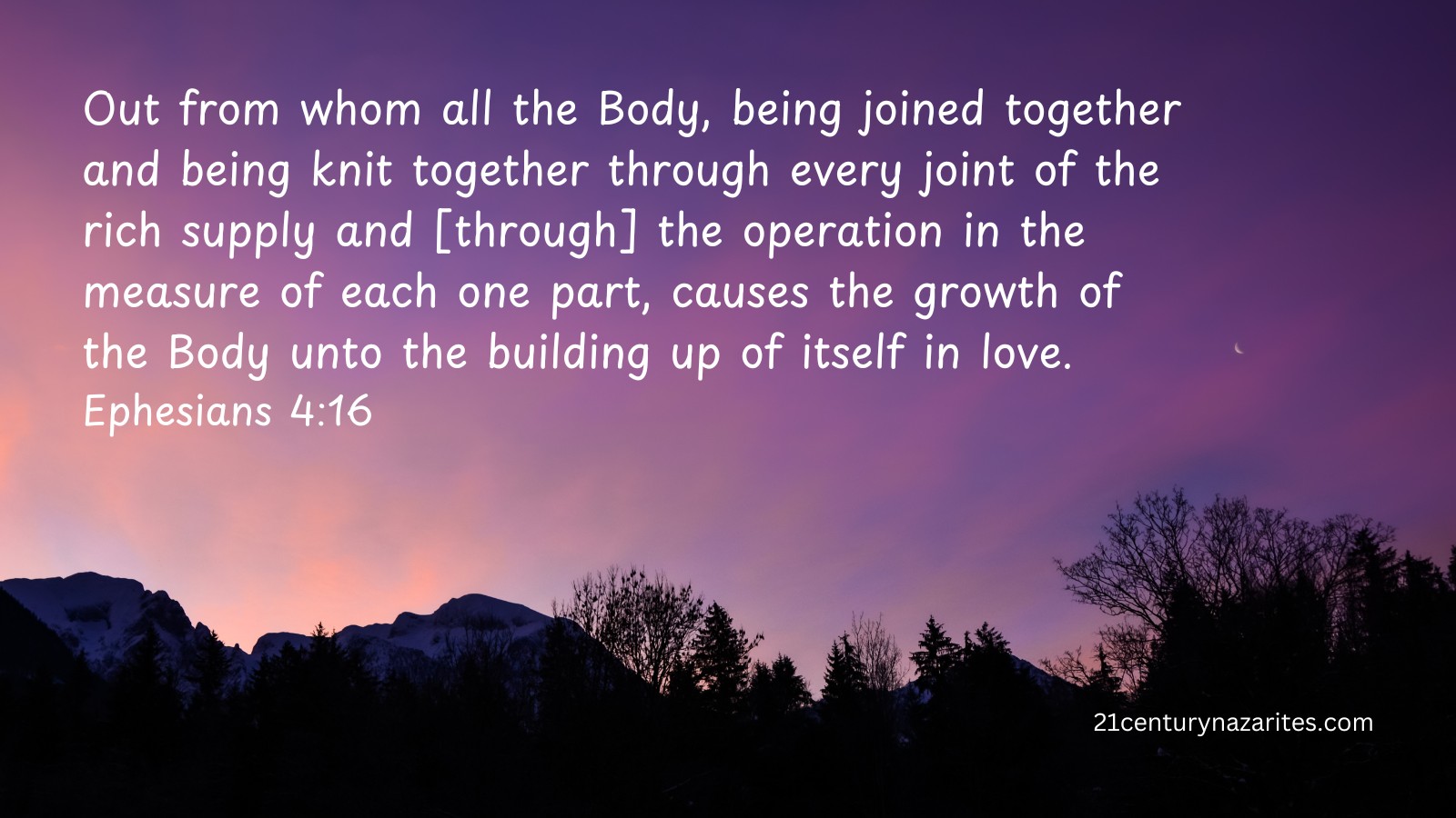 Out from whom all the Body, being joined together and being knit together through every joint of the rich supply and [through] the operation in the measure of each one part, causes the growth of the Body unto the building up of itself in love. Ephesians 4:16