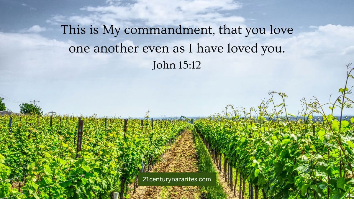 This is My commandment, that you love one another even as I have loved you. John 15:12